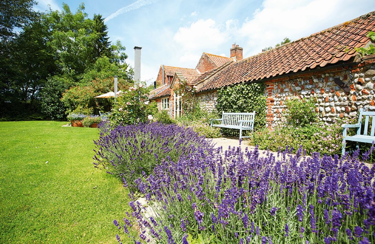 Details about a cottage Holiday at Pear Tree Cottage
